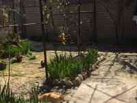 Продаю Дом, Юнус Абадский район, 3-й проезд Богиравон 19, фотография 5