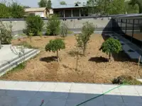 Хасанбой евро хай тек участка, фотография 5