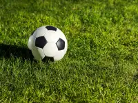 Строительство спортивных площадок (теннисные корты, футбольные стадионы), фотография 2