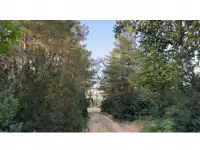 Бывший пионерский лагерь, Краснагорск, фотография 8