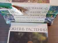 Книги, фотография 2