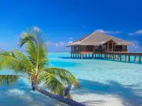 Туры по Всему Миру