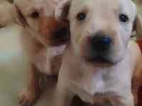 Продажа, фотография 2