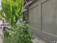 Продаётся коттедж на Солнечном., фотография 3