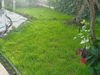 Продаётся дом с участком., фотография 6