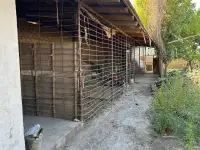 Продажа земли сельскохозяйственного назначения, Toshkent viloyati, Yangiyo'l tumani, Qora tepa MFY, Guliston ko'chasi, 56-uy., фотография 6