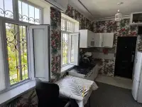 Продам свою Дачу 6 соток в Пскенте со всеми условиями и с техникой, фотография 9