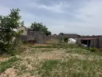Dacha Sotiladi, Bostonliq tumani Azadbash, фотография 4