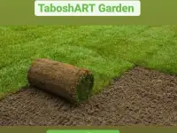 Комплексный уход за газоном и Хвойными, фотография 8