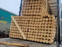 Производитель предлагает оцилиндрованное и окоренное бревно 10-16см без коры., фотография 6