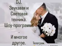 DJ Ведущий на ваш праздник., фотография 2