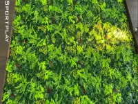 Исскуственное озеленение на стену, Самшит, фотография 2