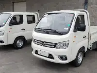 FATON  Gratour TM300 5 SEATS    5 местный, фотография 2