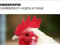 Комбикорма для лошади, коровы, баранов, бройлер, кролики и рыбы (Казахстан)