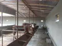 Продажа Ферма Дача, ТашОбл Юкори Чирчик Янги Бозор дахаси, фотография 7