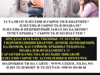 Гидроизоляция. От плесени, от влаги, от воды. Услуги о нанесению гидроизоляции. Телефон
