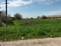 10 га Новый Ташкент, фотография 2