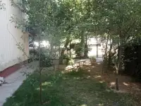 Продаю 3х квартиру, 1й этаж, возле метро Туркистон, Юнусобод 15-21-26, фотография 3