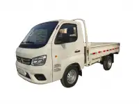 FATON  Gratour TM300 2 SEATS    2 местный, фотография 5