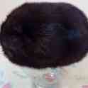 Шапка норкавая, фотография 2