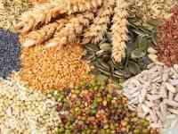 Поставщик кормовых добавок для животных КРС и птиц в Иран, фотография 2