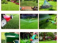 Комплексный уход за газоном и Хвойными, фотография 2