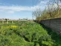 10 га Новый Ташкент