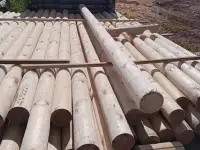 Лес кругляк сосна, фотография 4