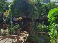 СРОЧНО ПРОДАЕТСЯ УЧАСТКА, Мирзо Улугбекский раён Цалковский