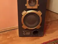 Продаю клоноки амфитон, фотография 2