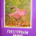 Пёстрый мир аквариума (открытки)