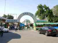 Земельный участок с домами 30 соток под бизнес в Яккарайском районе Аския Парк Бобура, фотография 2