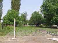 Участок,дом, Таш.обл, фотография 7