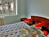Сдам в аренду. Массив Фируза. Эко- Базар., фотография 6