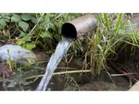 Бывший пионерский лагерь, Краснагорск, фотография 4