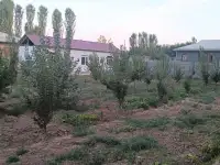 Продаётся дом в Паркенте, тумани, Кургонтепа МФЙ, Эзгулик 38, фотография 2