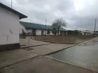 Ферма сотилади, область, Янгиюльский район, фотография 2