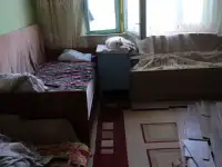 Хорошая чистая просторная, фотография 2