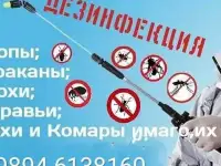 Услуги Дезинфекция, фотография 2