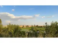 Бывший пионерский лагерь, Краснагорск, фотография 3