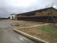 Ферма сотилади, область, Янгиюльский район, фотография 3