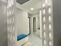 234 на длительный срок люкс Ц-1 центр города, фотография 5