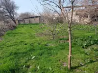 Продаётся Дом! Рядом всё необходимое: Школа, садик, магазины, автосервис!, фотография 10