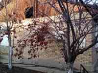 Срочно продаётся дом в поселке Богзор 8 соток, фотография 4