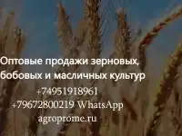 ООО Агропром - оптовая реализация продуктов питания экспорт