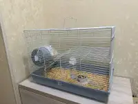 Продается хомяк, фотография 7