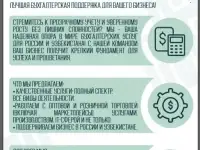 Профессиональные  бухгалтерские услуги