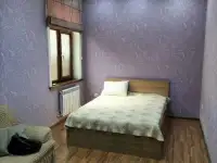 Гостиница Россия Дом 3,3 сотки, фотография 10