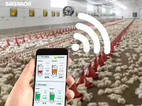 Оборудование для выращивания бройлеров с удаленным контролем