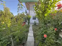 Продам свою Дачу 6 соток в Пскенте со всеми условиями и с техникой, фотография 3